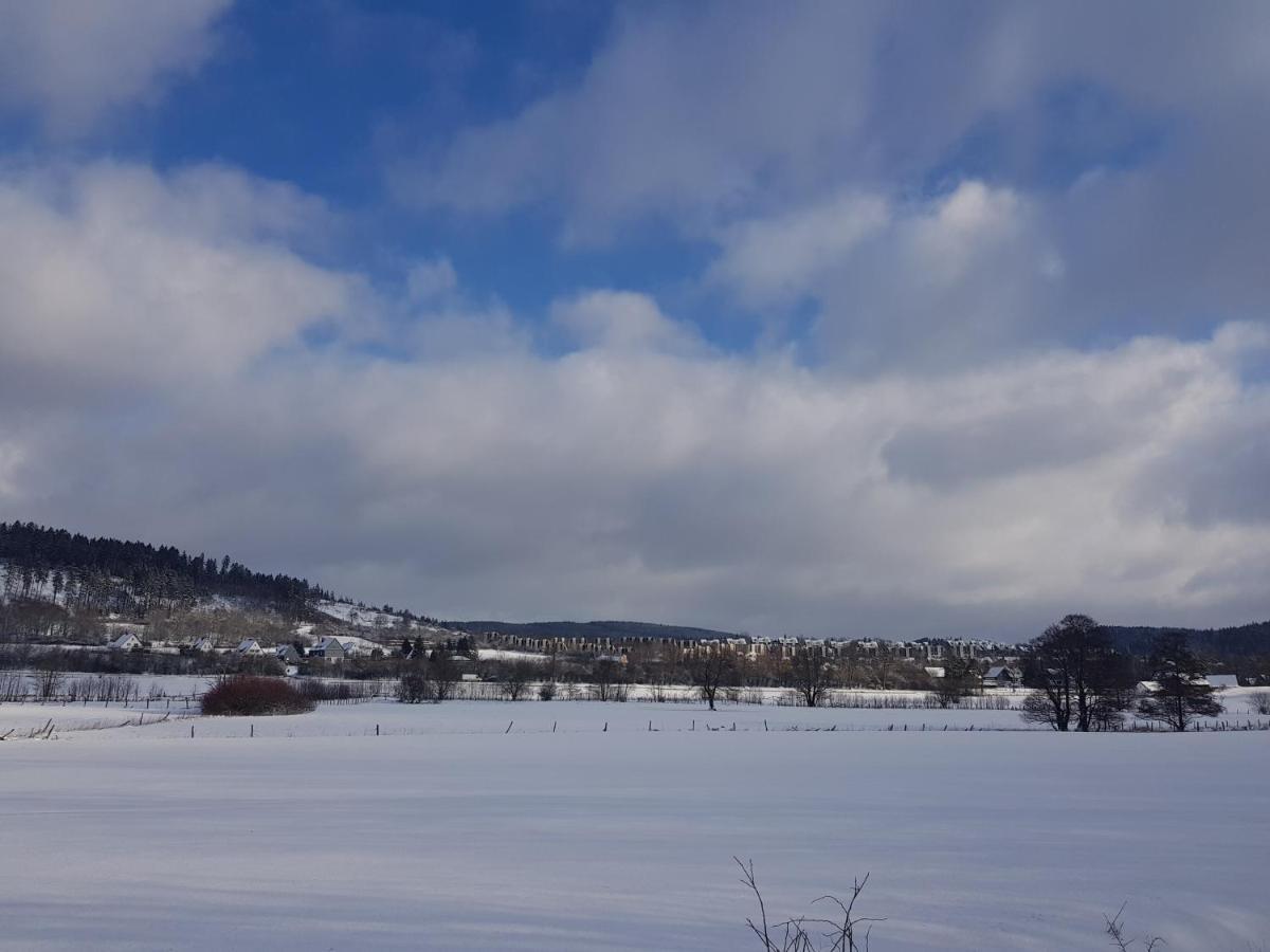 Ferienwohnung Parkblick Medebach Bagian luar foto