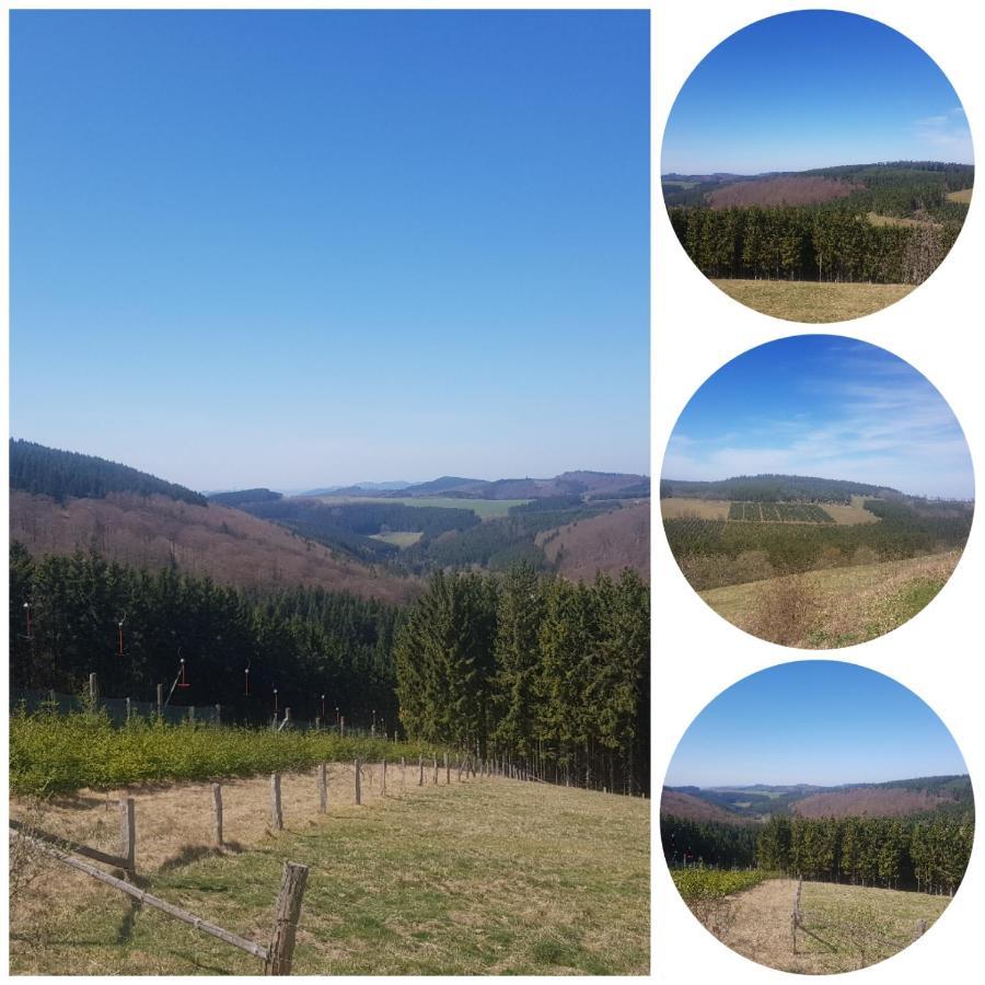 Ferienwohnung Parkblick Medebach Bagian luar foto