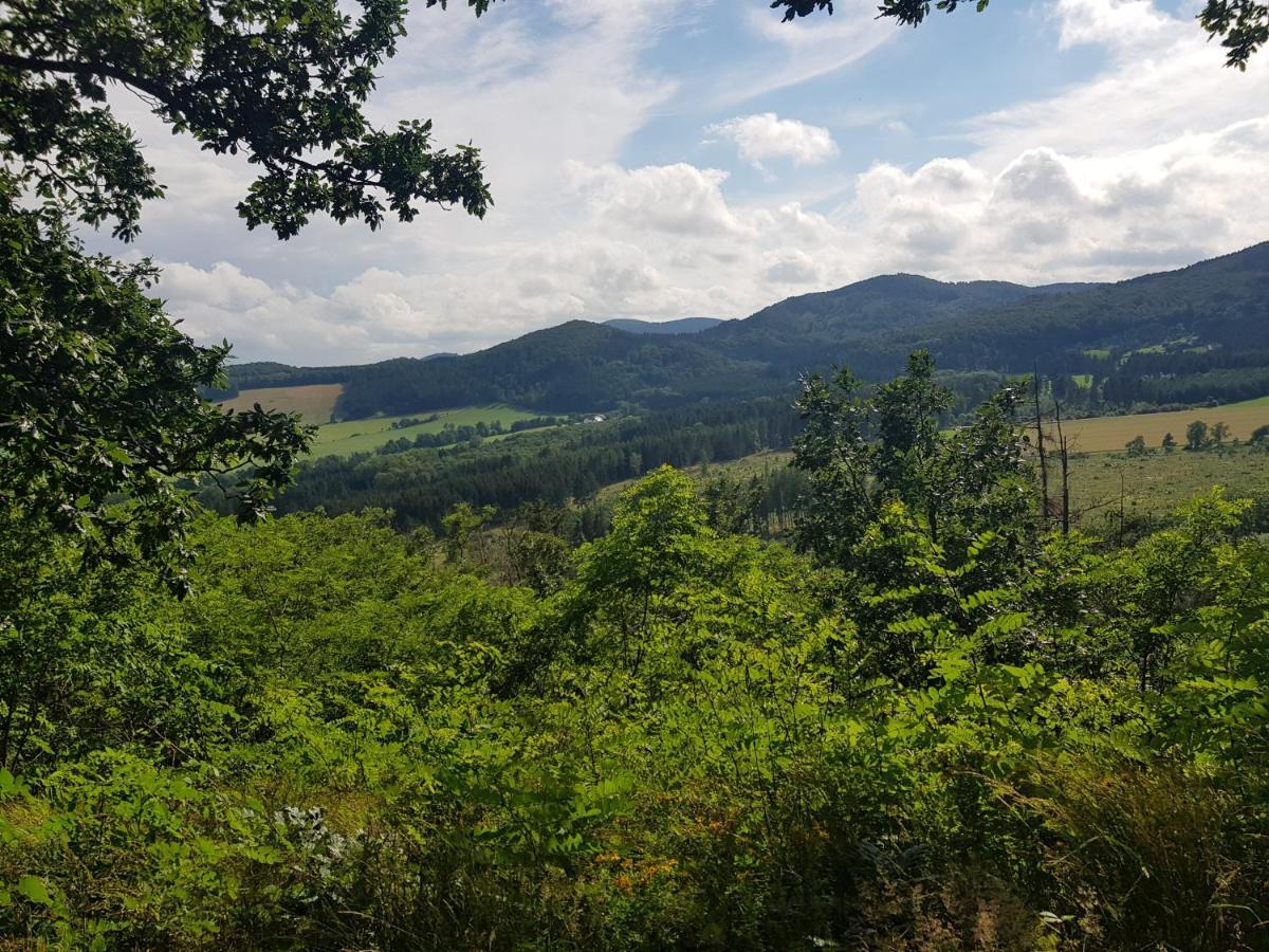 Ferienwohnung Parkblick Medebach Bagian luar foto