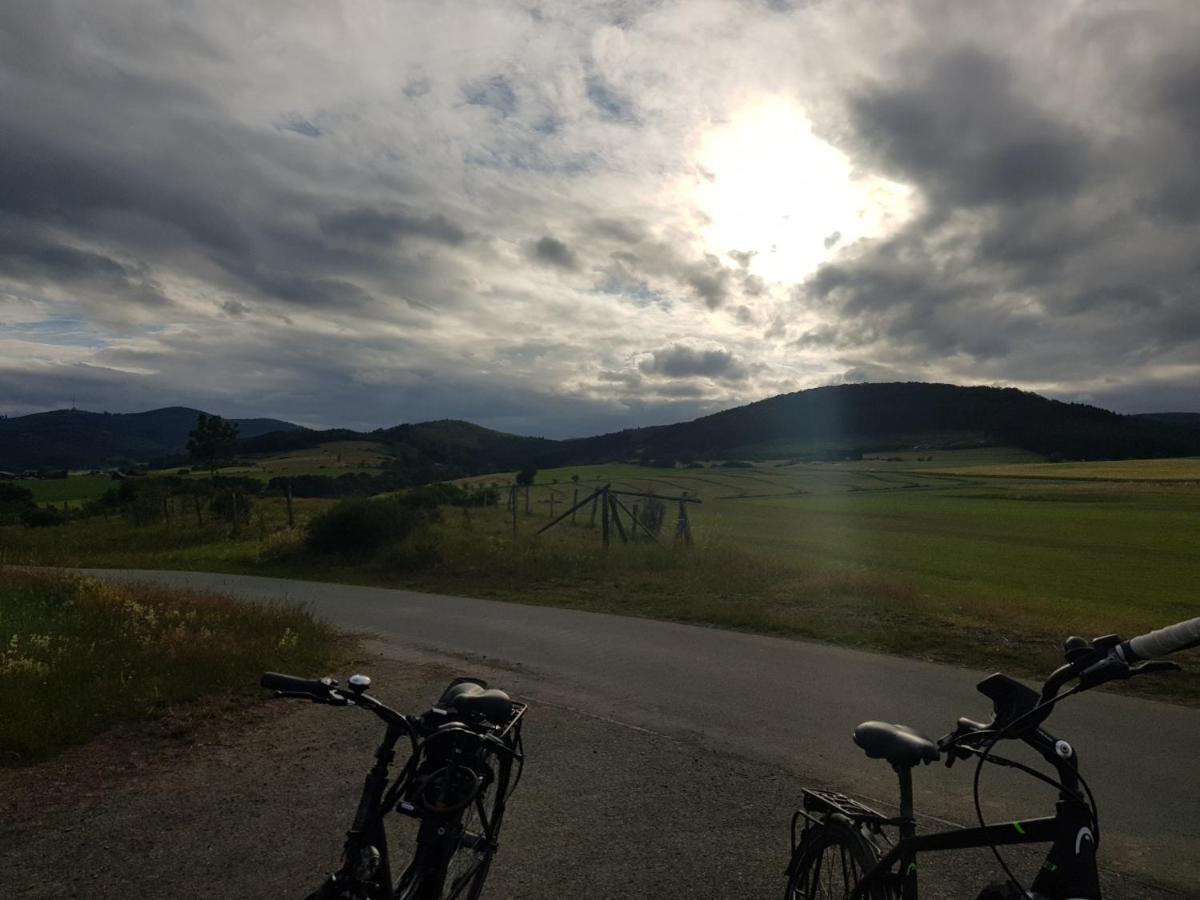 Ferienwohnung Parkblick Medebach Bagian luar foto